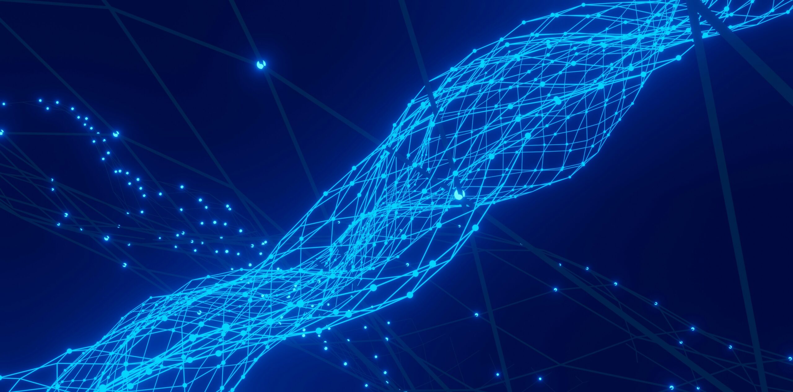 How to master Algorithms: Beginner to Pro Guide conny schneider preq0ns p e unsplash